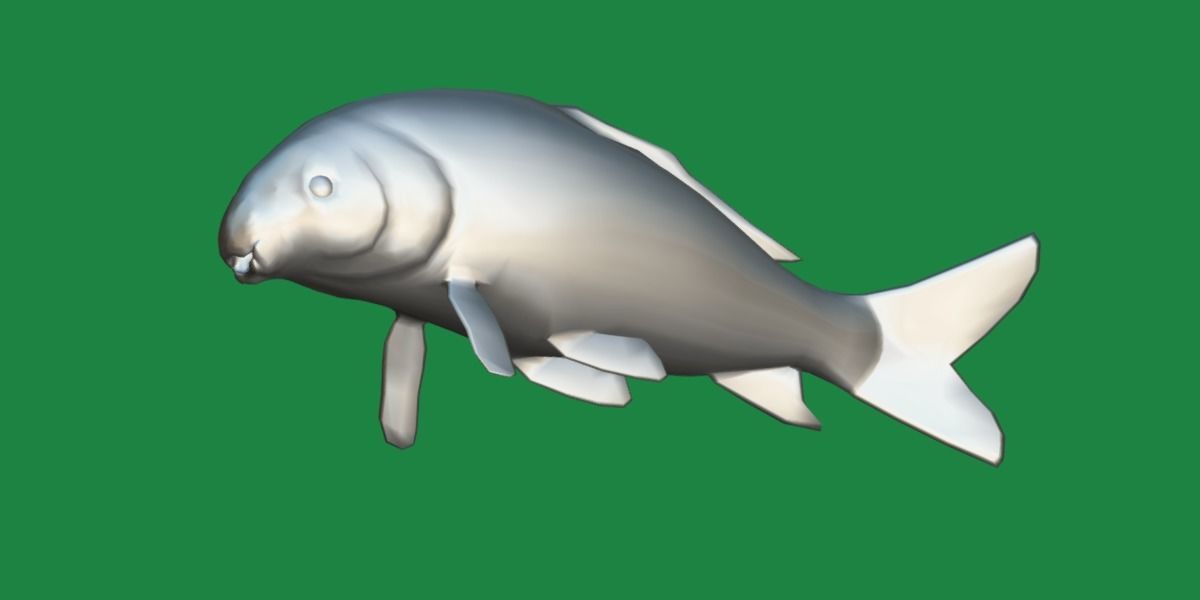 Black Buffalo Fish Low-poly 3D model_11