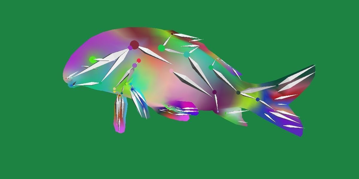 Black Buffalo Fish Low-poly 3D model_24