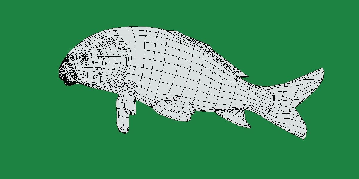 Black Buffalo Fish Low-poly 3D model_14