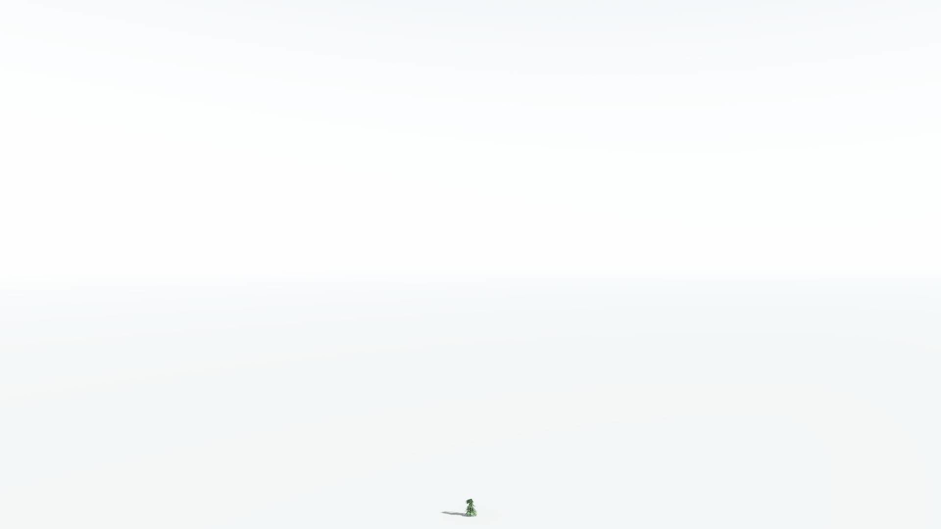 EVERYPlant Kauri LowPoly 3 --12 Models-- Low-poly 3D model_20