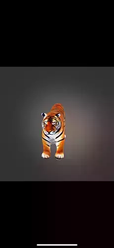 Tiger low poly