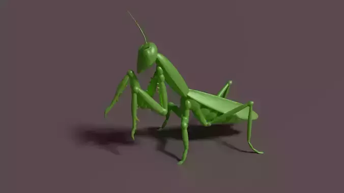Mantis Low-poly