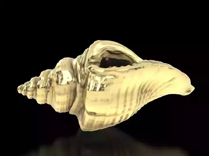 Shiva of conch 3D print model