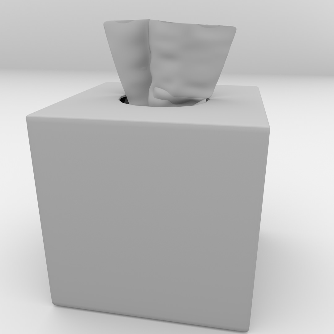 Tissue Box 2 3D model_3