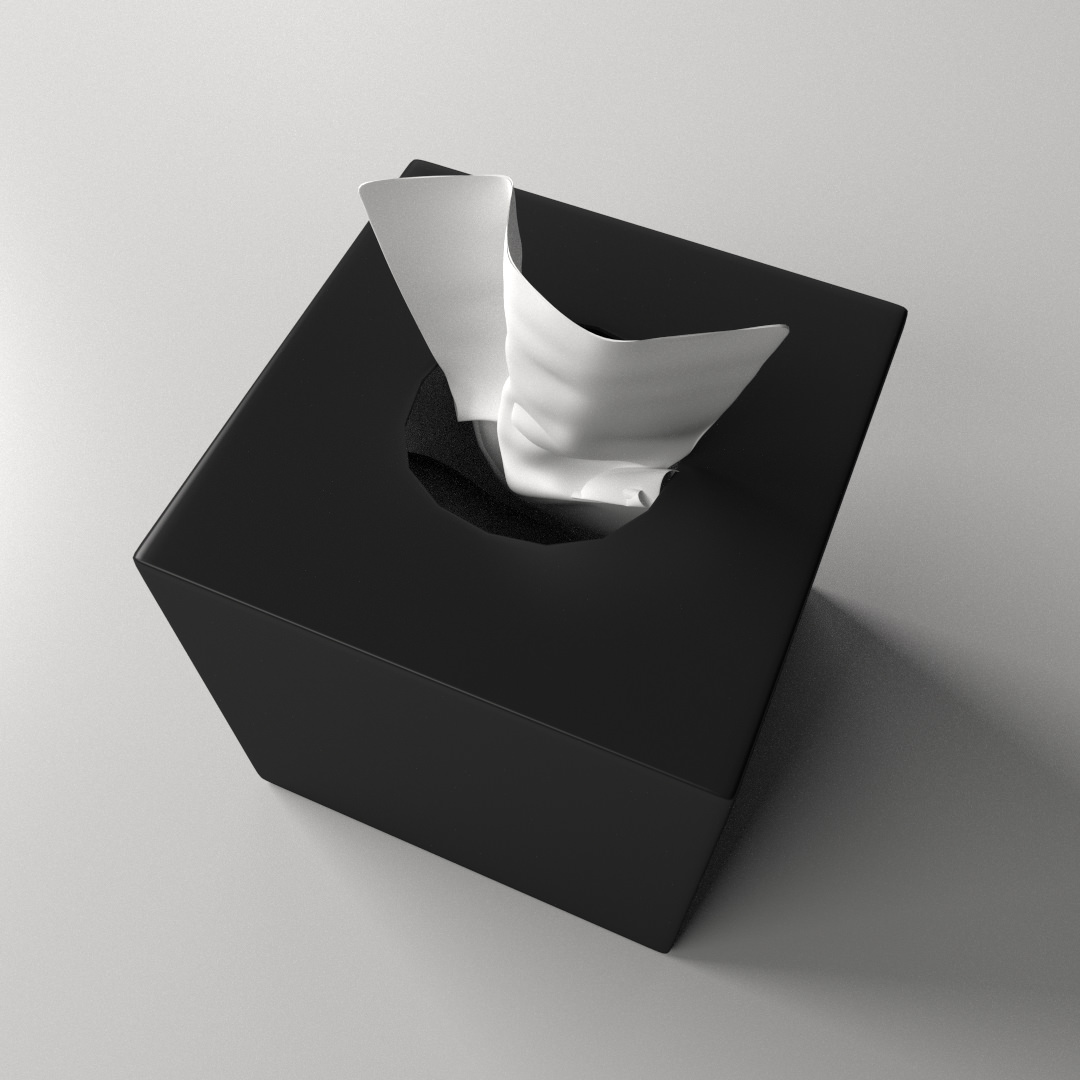Tissue Box 2 3D model_1