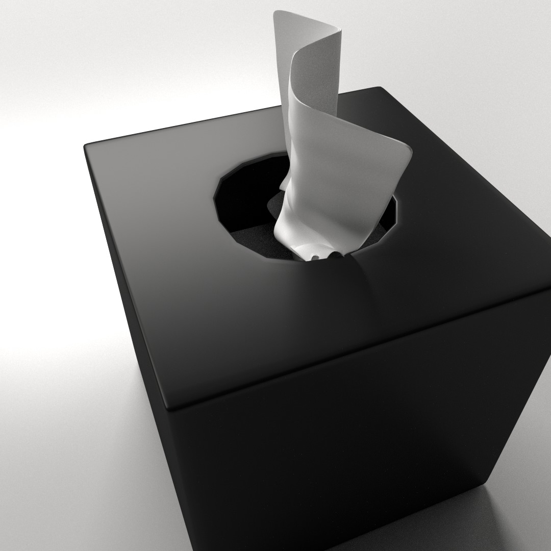 Tissue Box 2 3D model_2