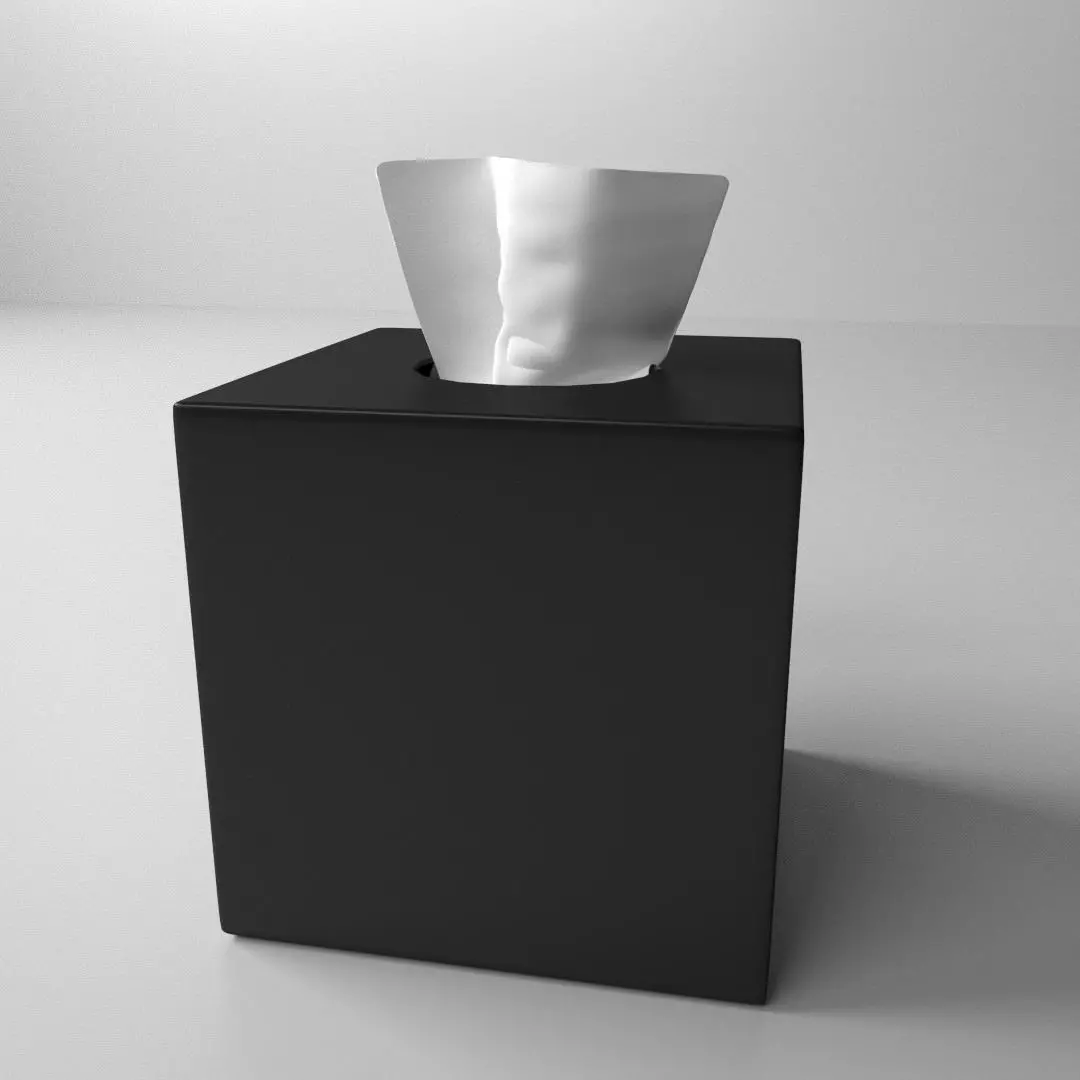 Tissue Box 2 3D model_0