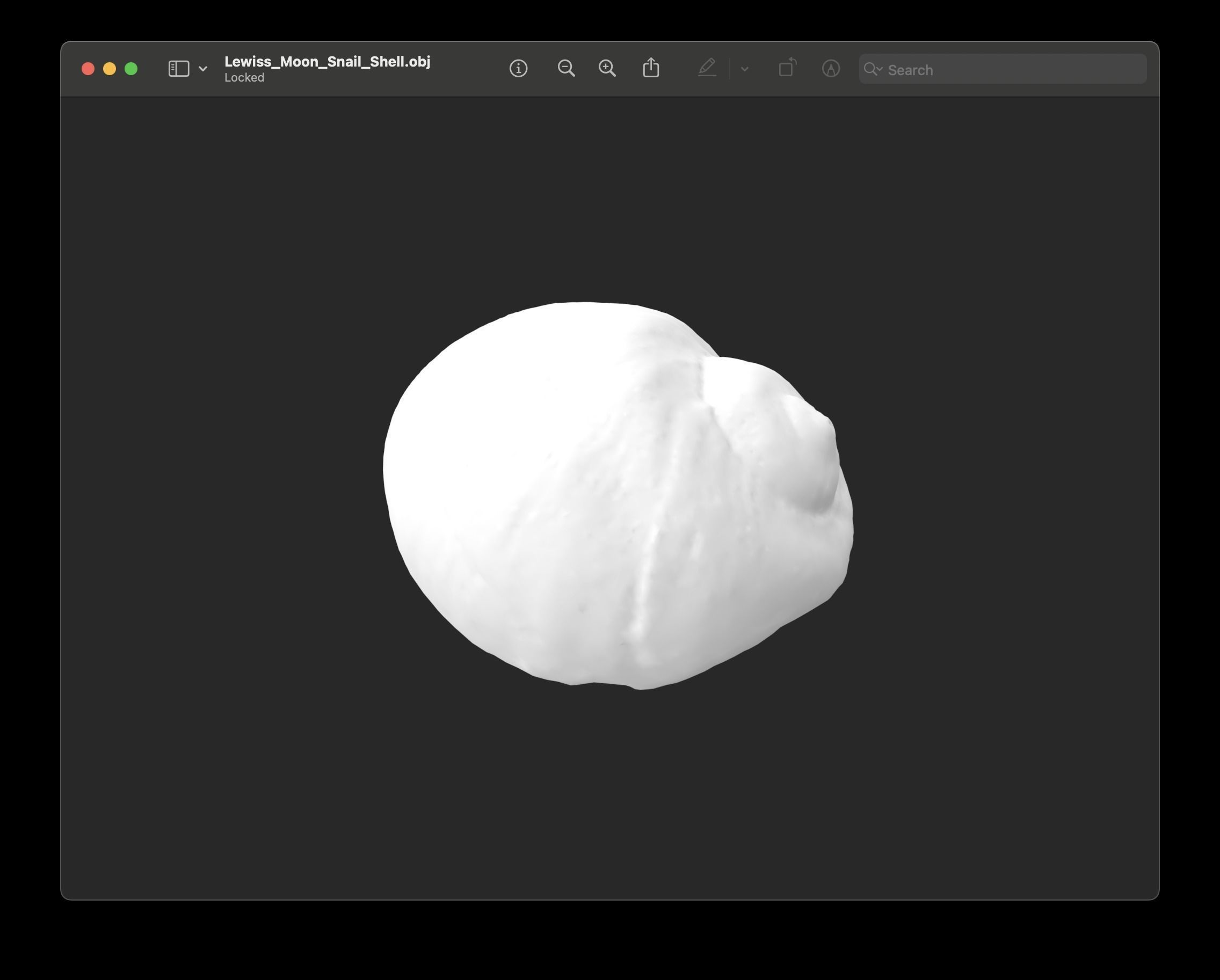 Shell of Lewis Moon Snail 3D print model_1