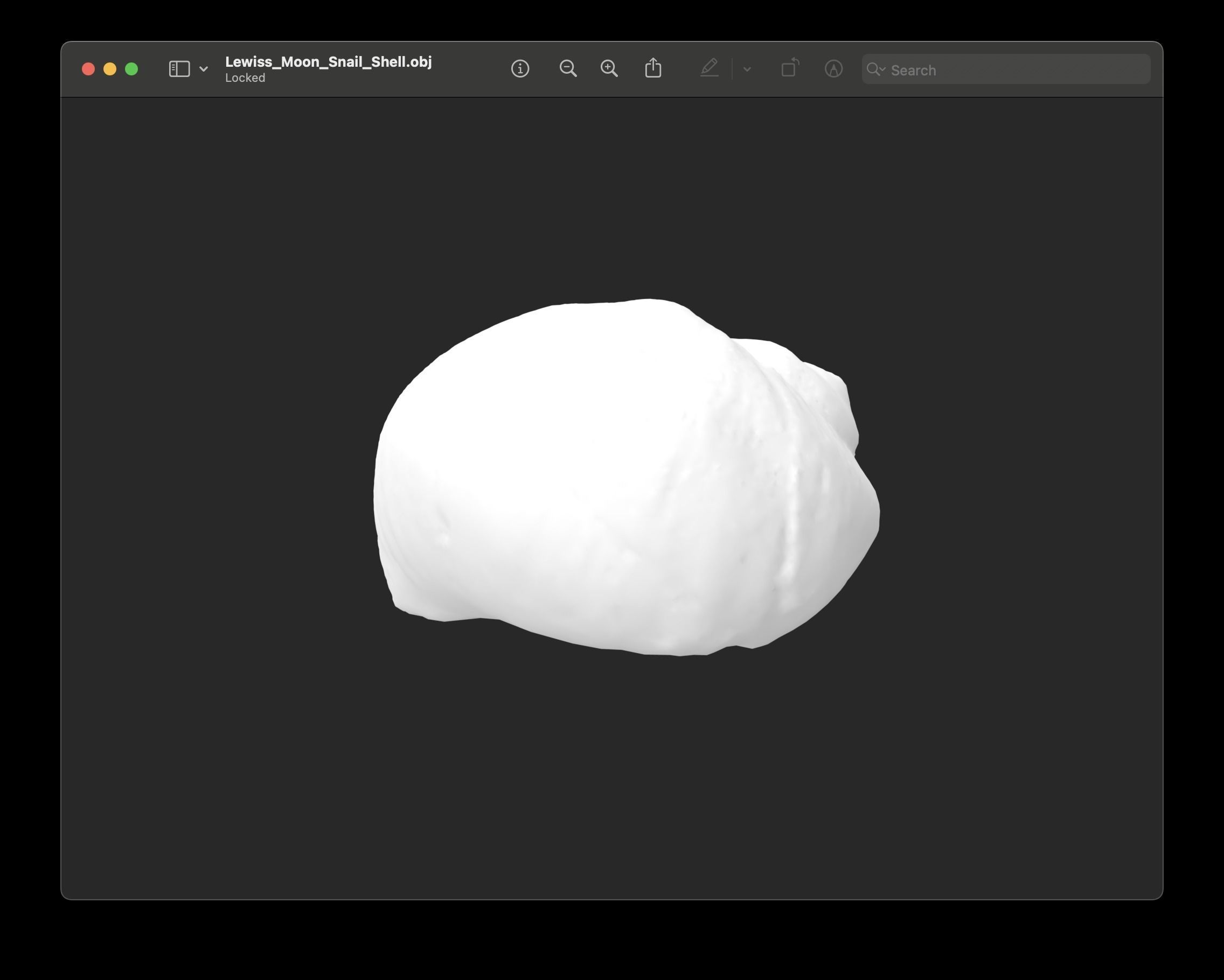 Shell of Lewis Moon Snail 3D print model_3