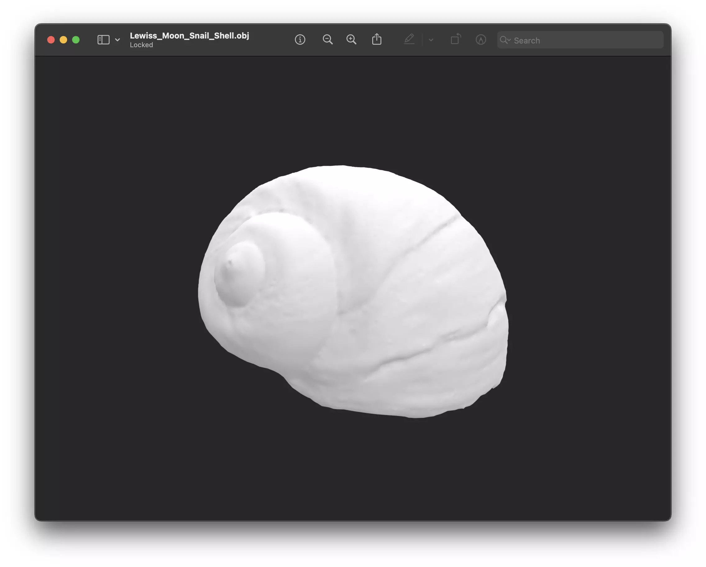 Shell of Lewis Moon Snail 3D print model_0