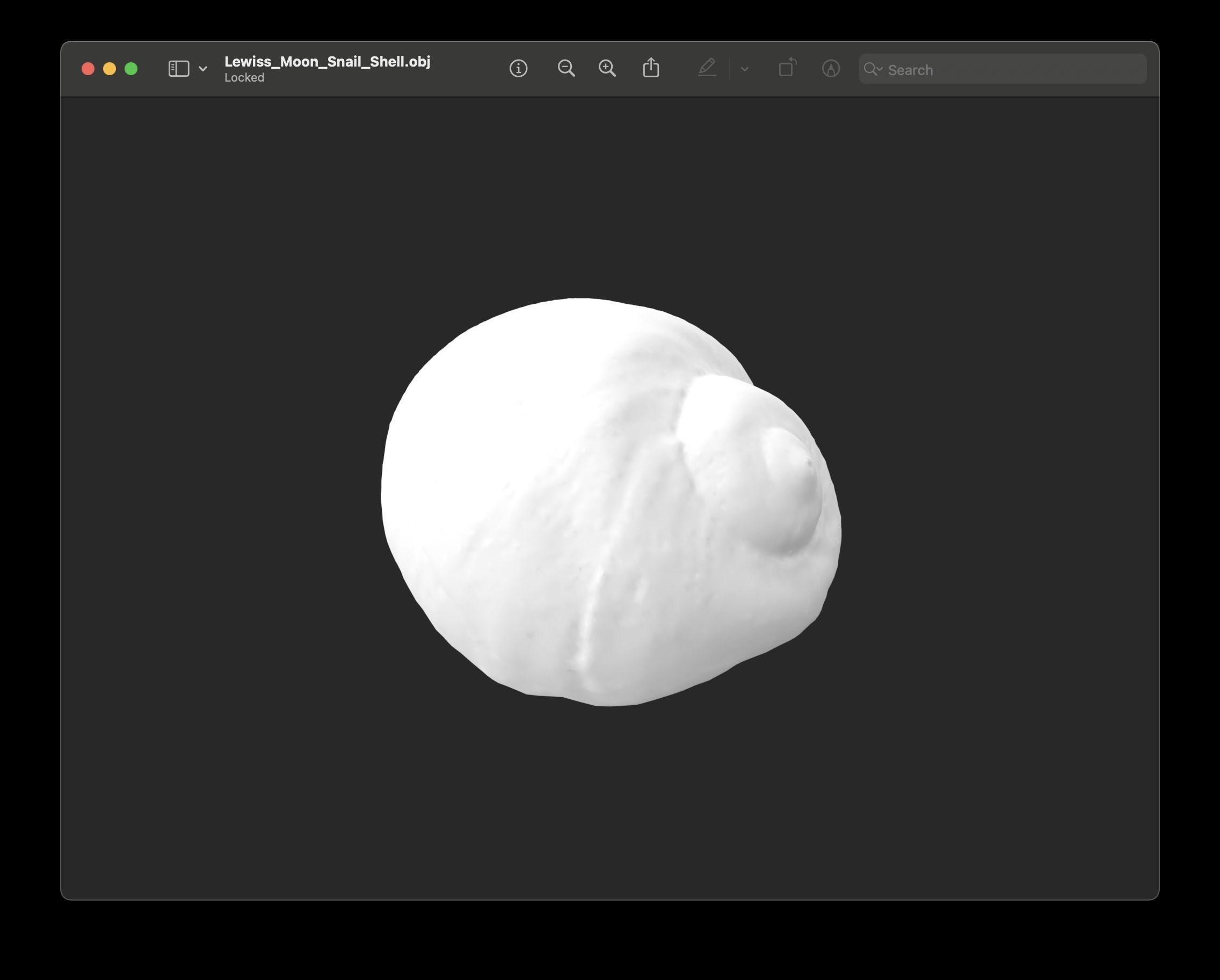 Shell of Lewis Moon Snail 3D print model_4