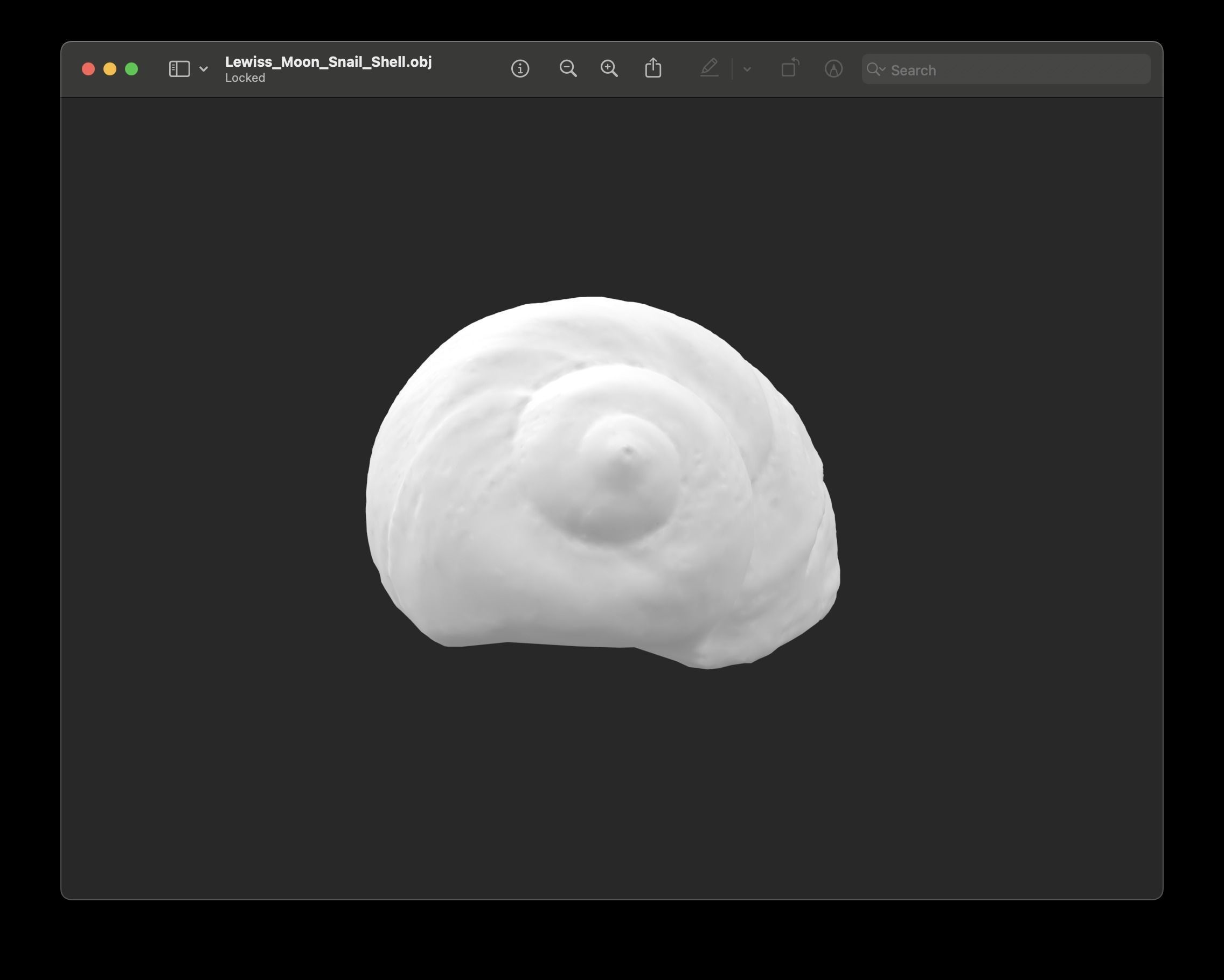 Shell of Lewis Moon Snail 3D print model_2
