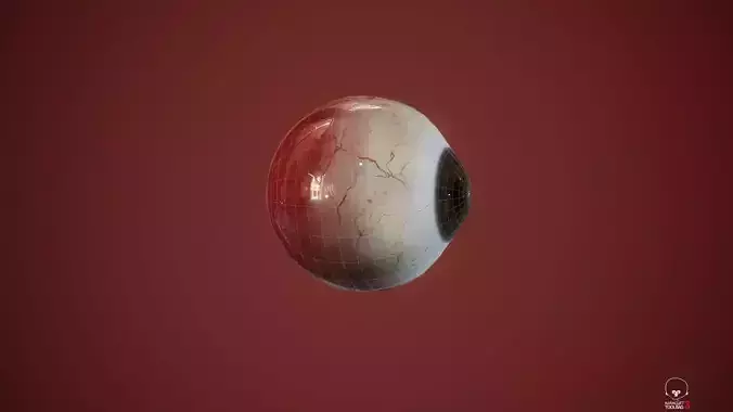 16 Colors of Realistic Eye  3D model