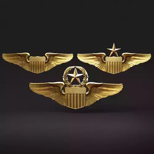 USAF Pilot Wings 3D print model