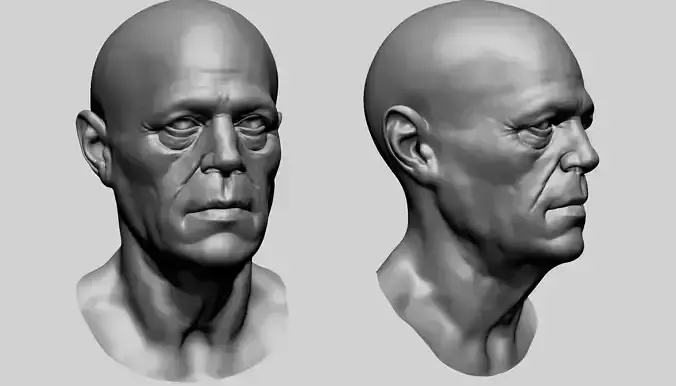 Male Head O 3D model