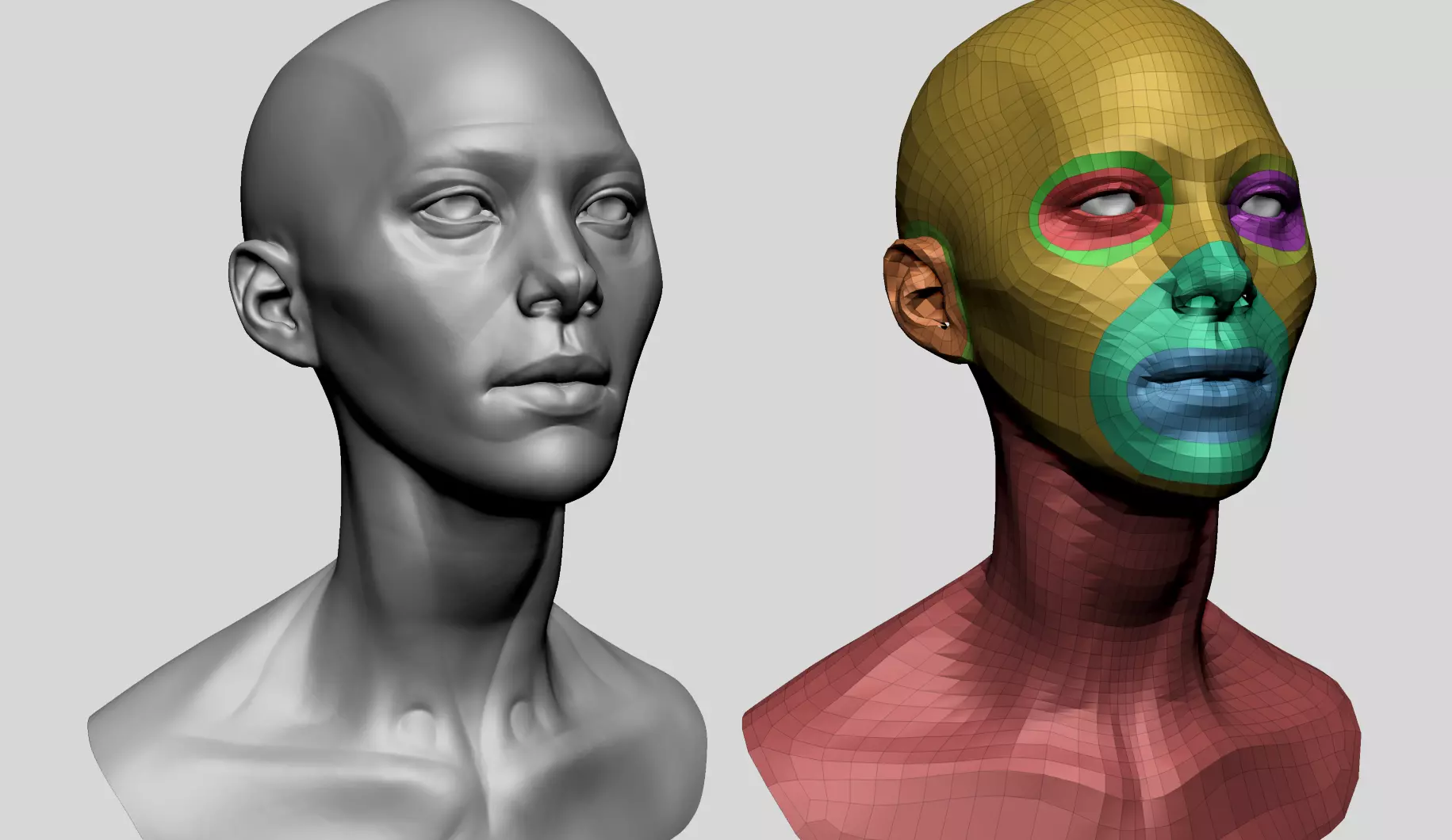 Female Head Anatomy 3D model_0