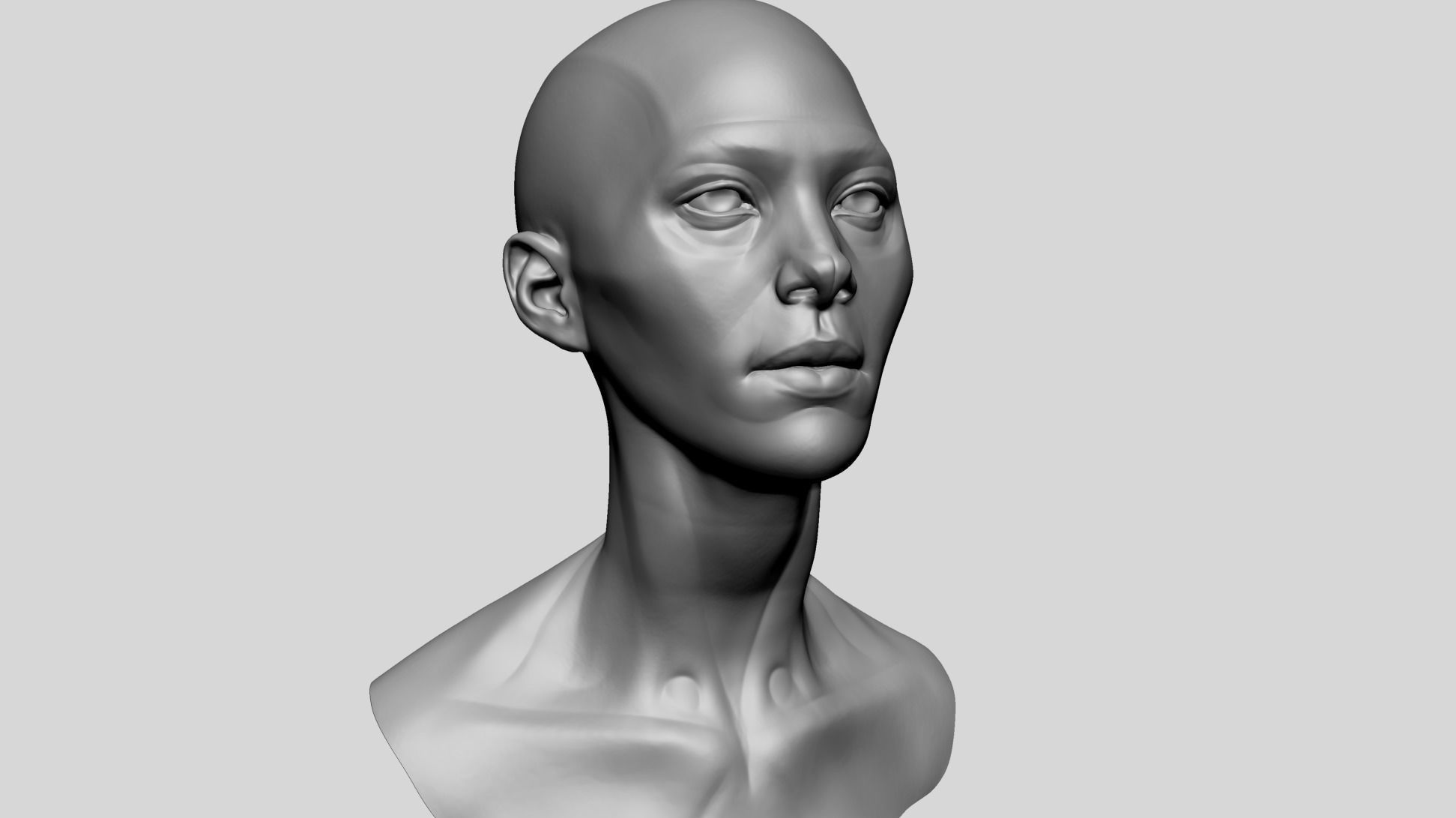 Female Head Anatomy 3D model_1