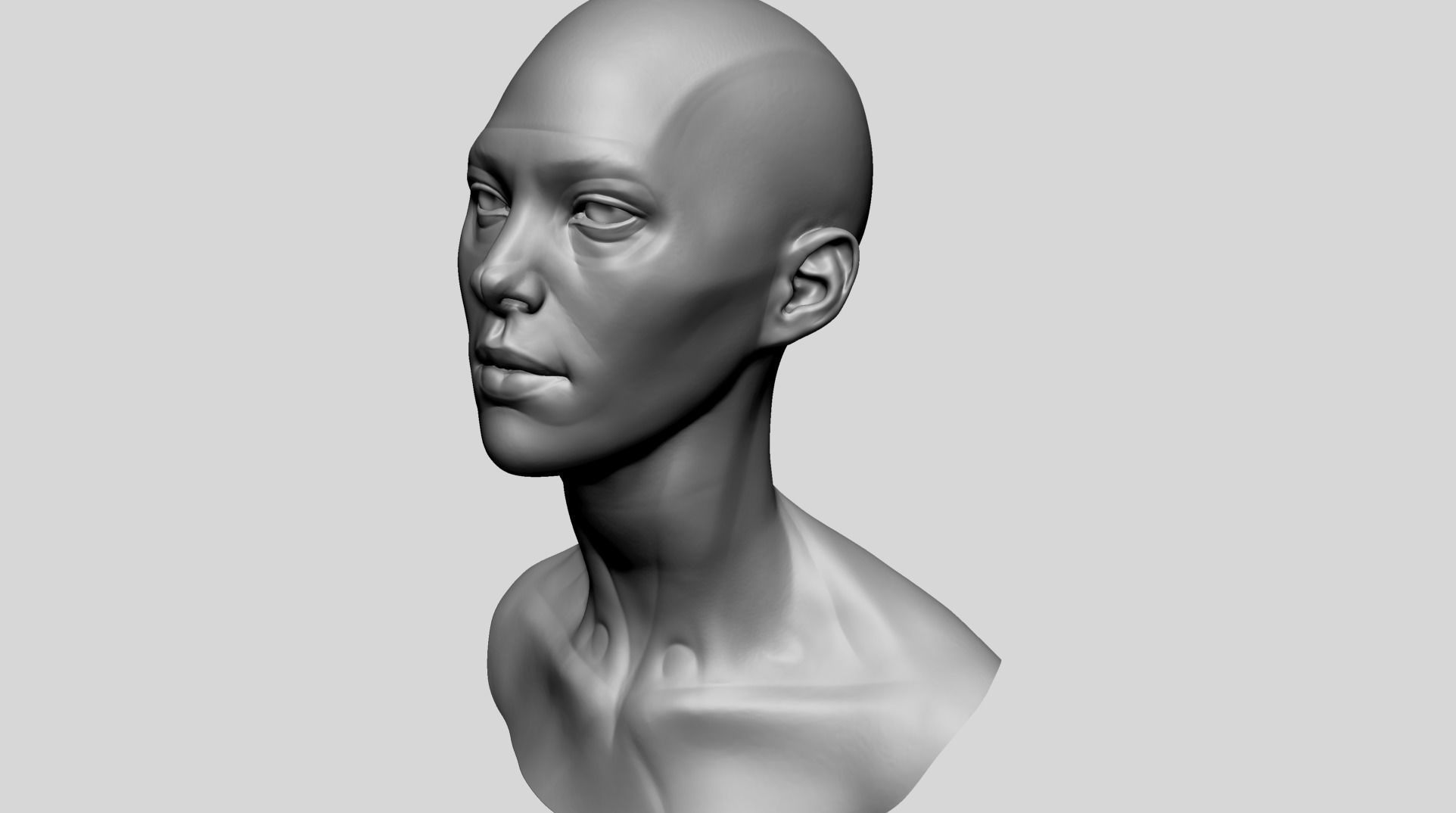 Female Head Anatomy 3D model_7