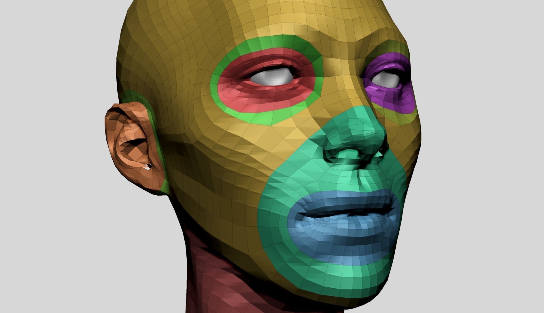 Female Head Anatomy 3D model_12