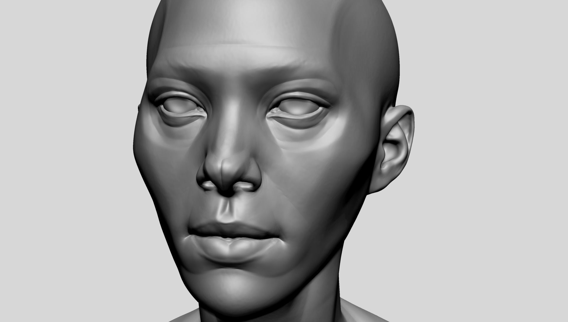 Female Head Anatomy 3D model_10