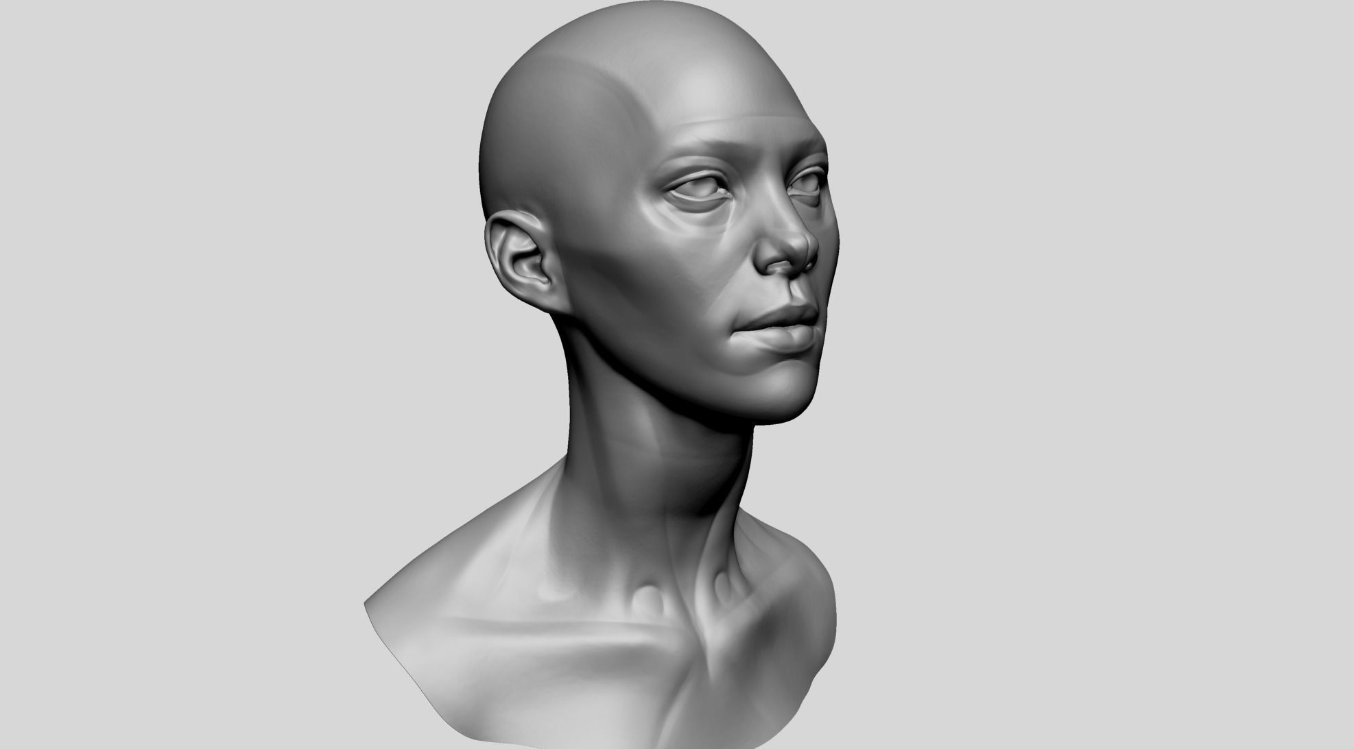 Female Head Anatomy 3D model_3