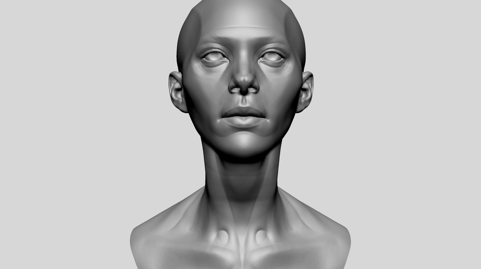 Female Head Anatomy 3D model_8