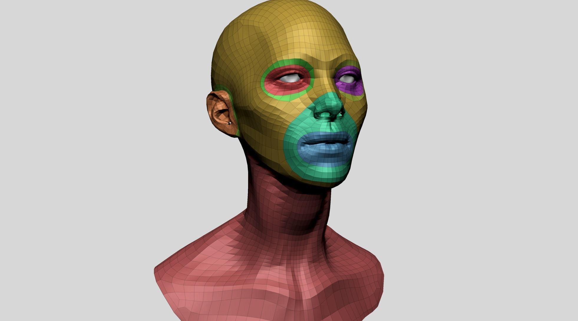 Female Head Anatomy 3D model_2