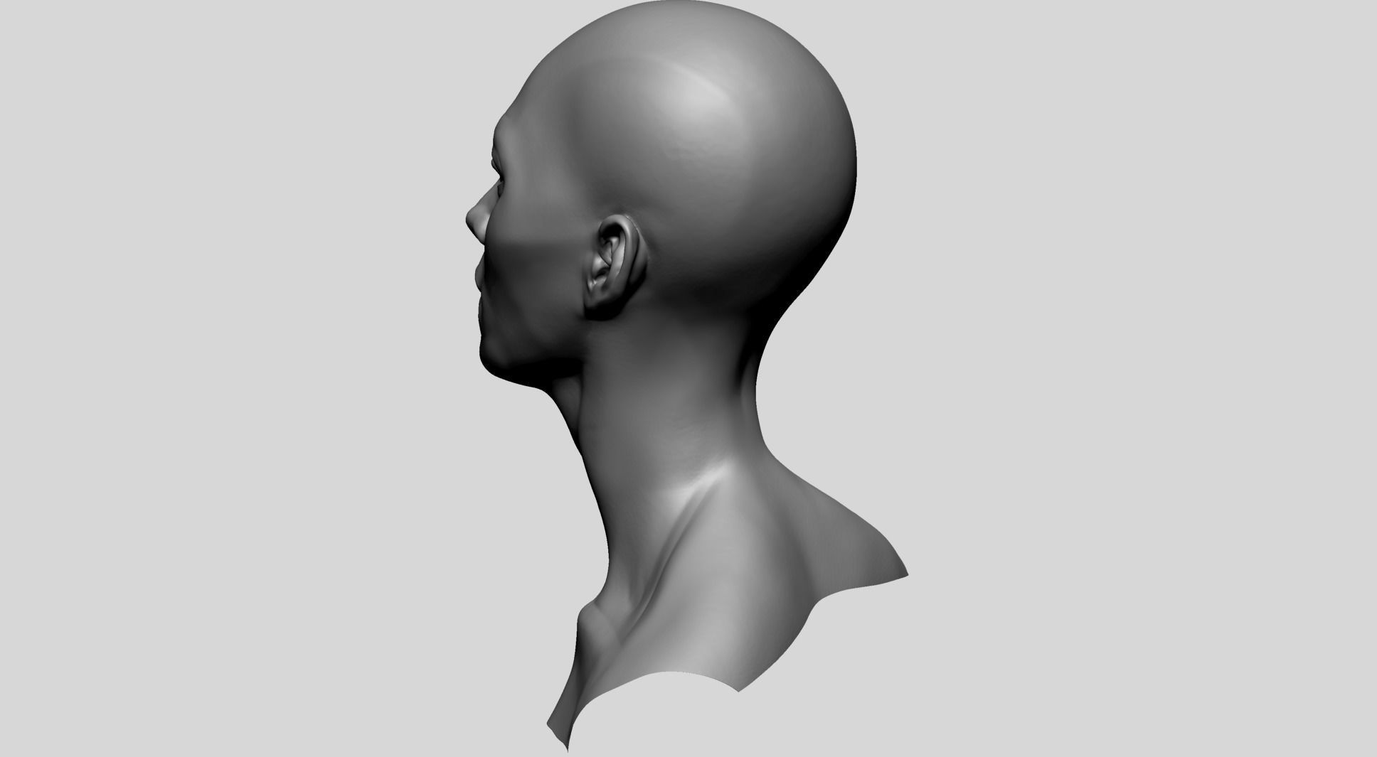Female Head Anatomy 3D model_6
