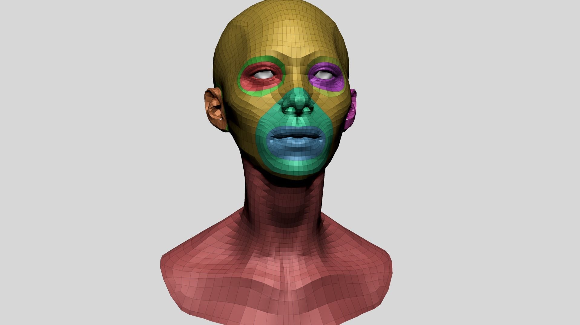 Female Head Anatomy 3D model_11