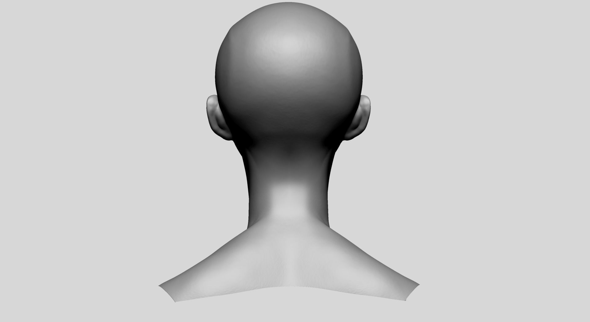 Female Head Anatomy 3D model_5