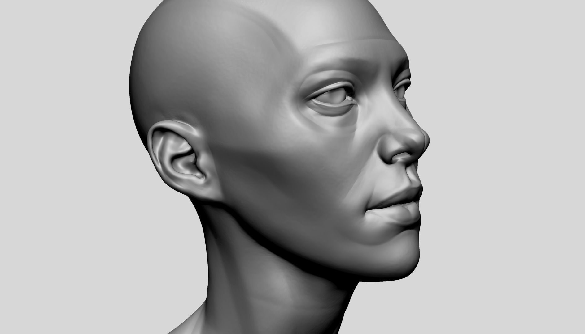 Female Head Anatomy 3D model_9