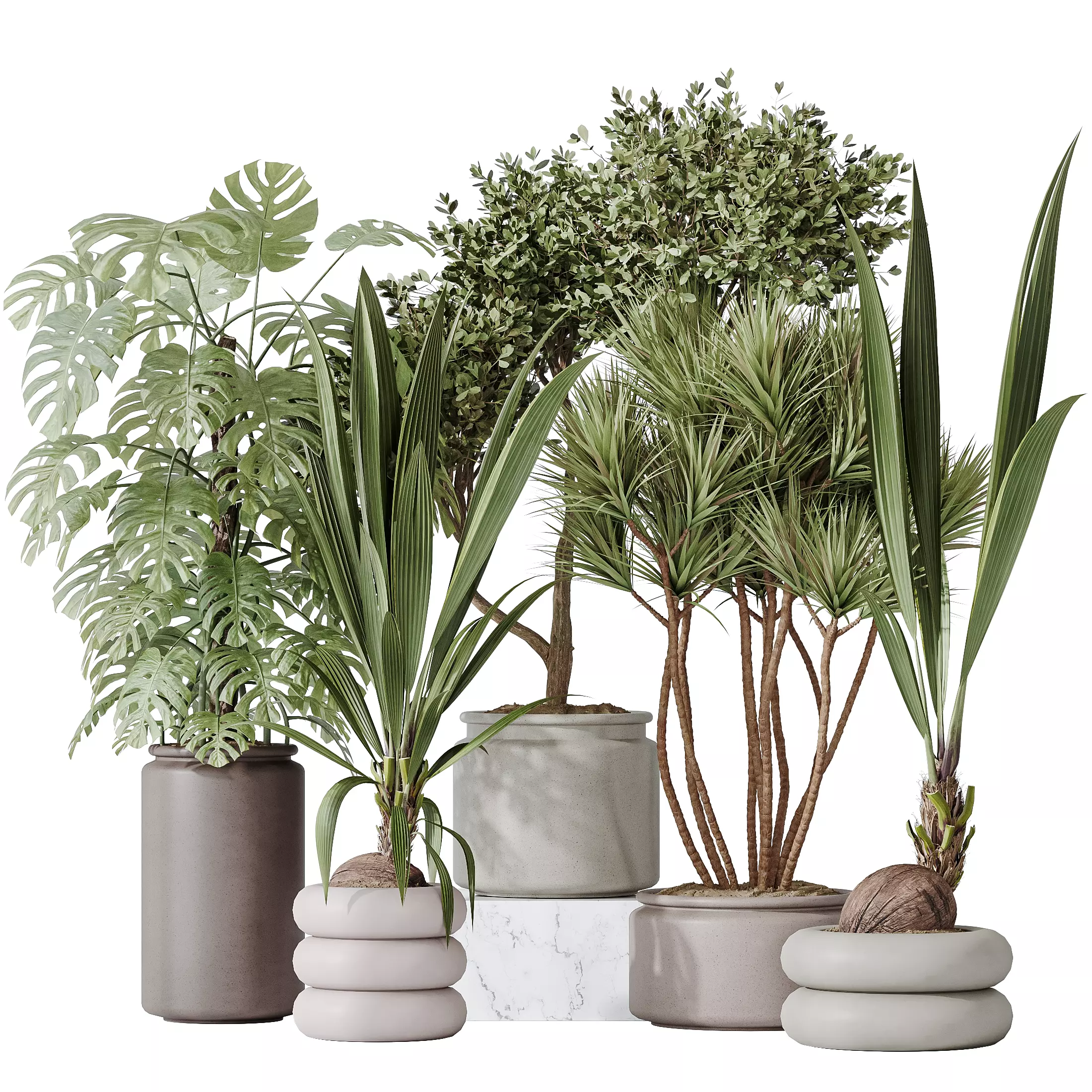 Indoor plant set 50 3D model