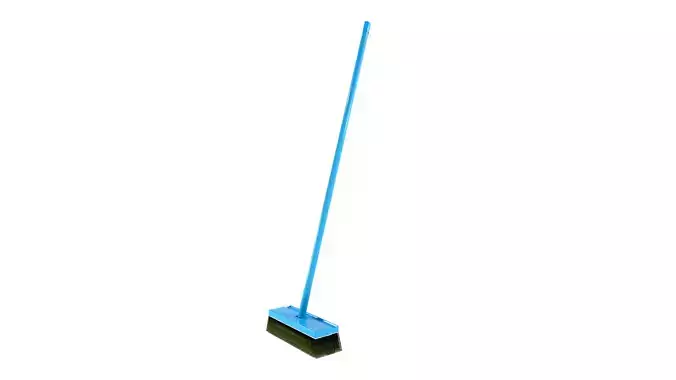 Cleaning Broom