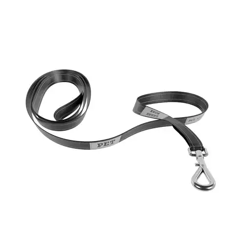 Pet Leash Low-poly 3D model