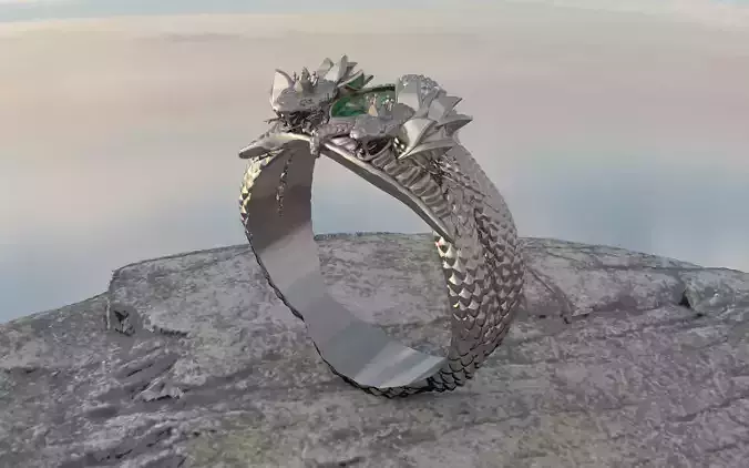 Dragon ring man