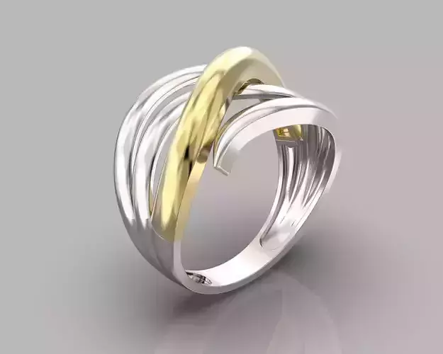 R 133 ring