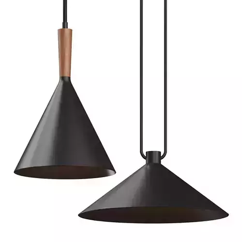Crate and Barrel Weston Modern and Andre Black Cone Pendant Lamp