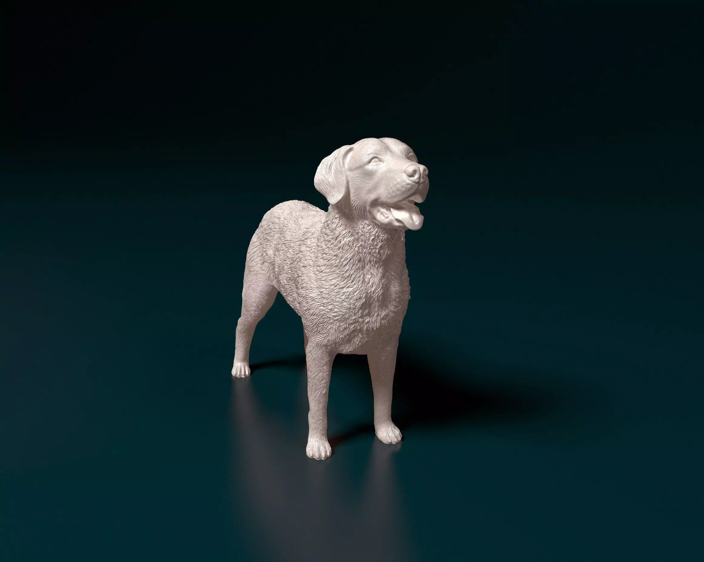 Chesapeake Bay Retriever 3D print model