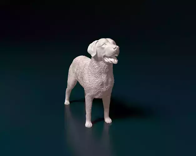 Chesapeake Bay Retriever 3D print model