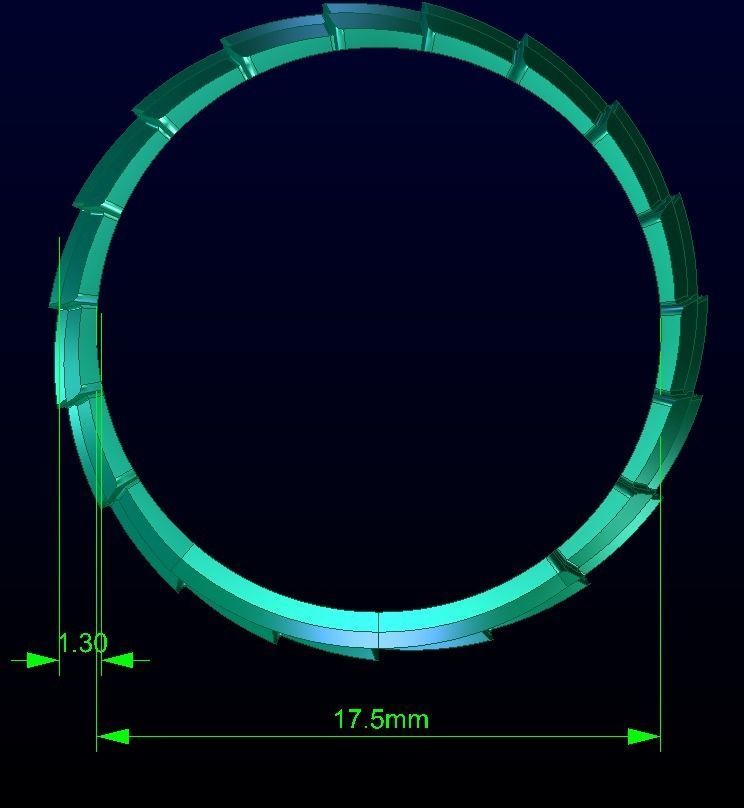 Ring 2468 -  castting Gold 3D print model_2
