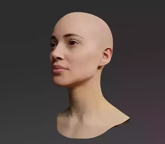 TGA Textured Head
