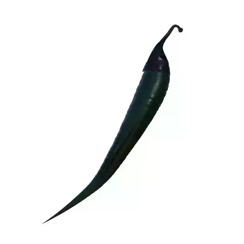 Lichi 3D model new Free 3D model