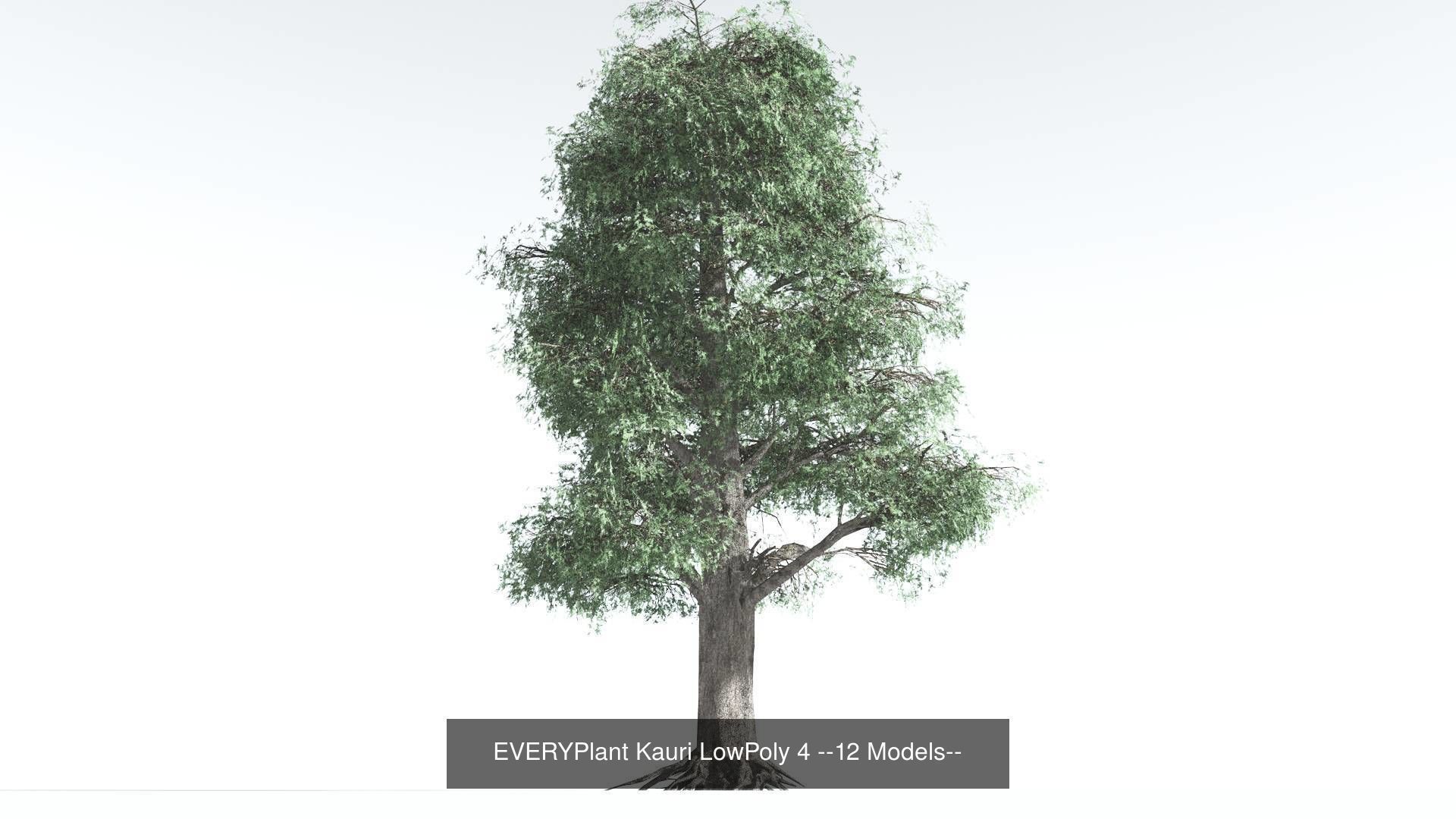 EVERYPlant Kauri LowPoly Bundle --48 Models-- 3D Model Collection_4