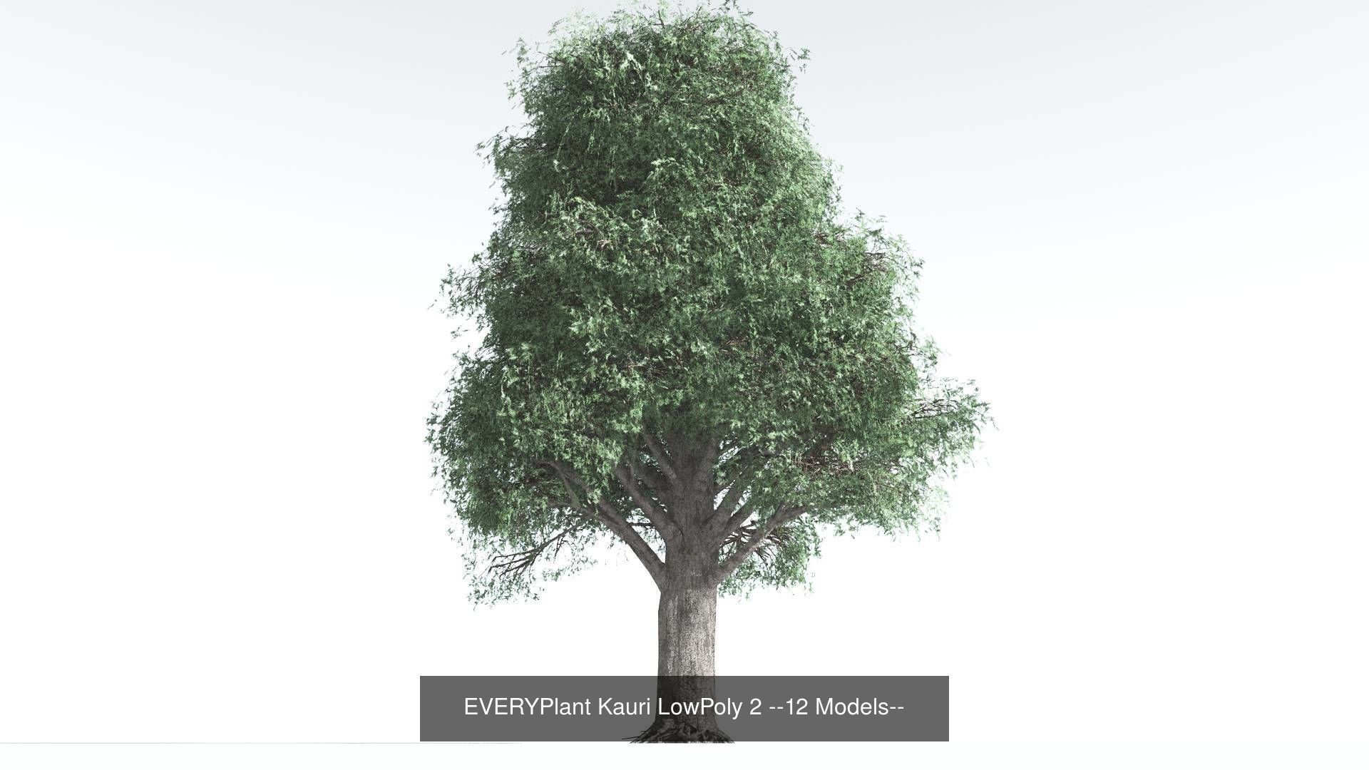 EVERYPlant Kauri LowPoly Bundle --48 Models-- 3D Model Collection_2