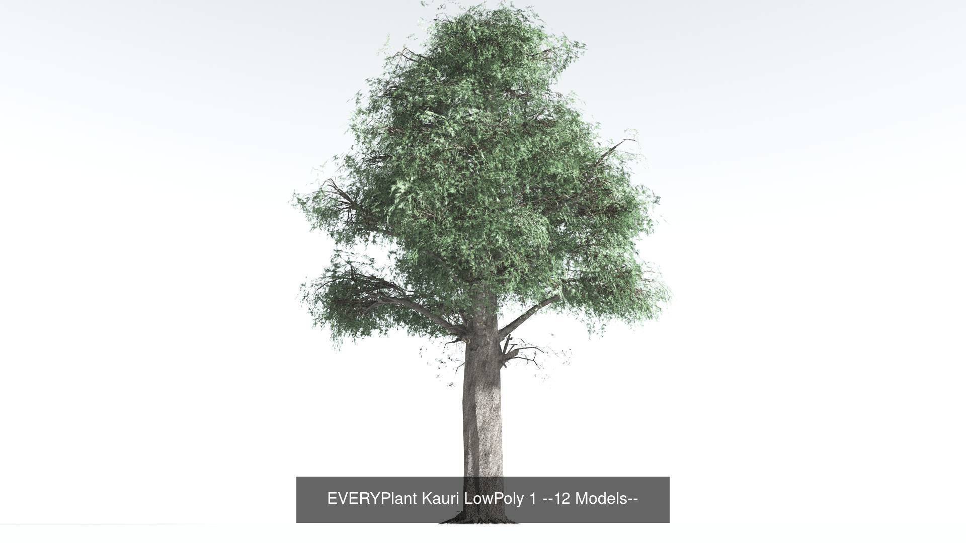 EVERYPlant Kauri LowPoly Bundle --48 Models-- 3D Model Collection_1