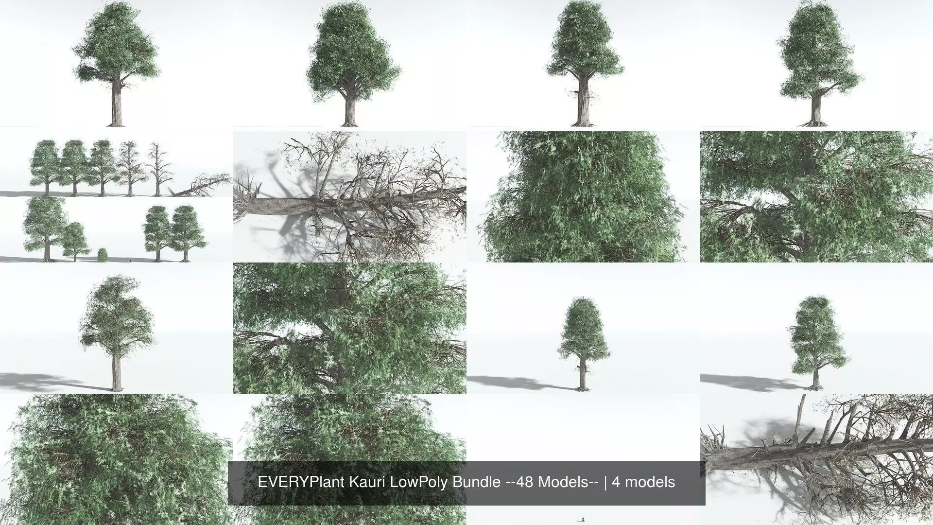 EVERYPlant Kauri LowPoly Bundle --48 Models-- 3D Model Collection_0