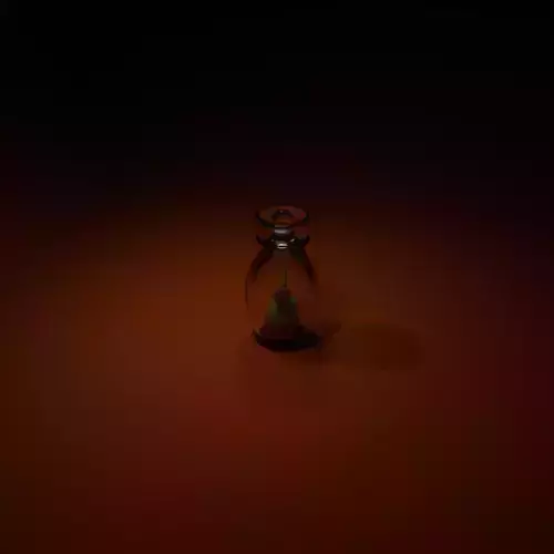  Glass with mashroom or Bottle with mashroom 