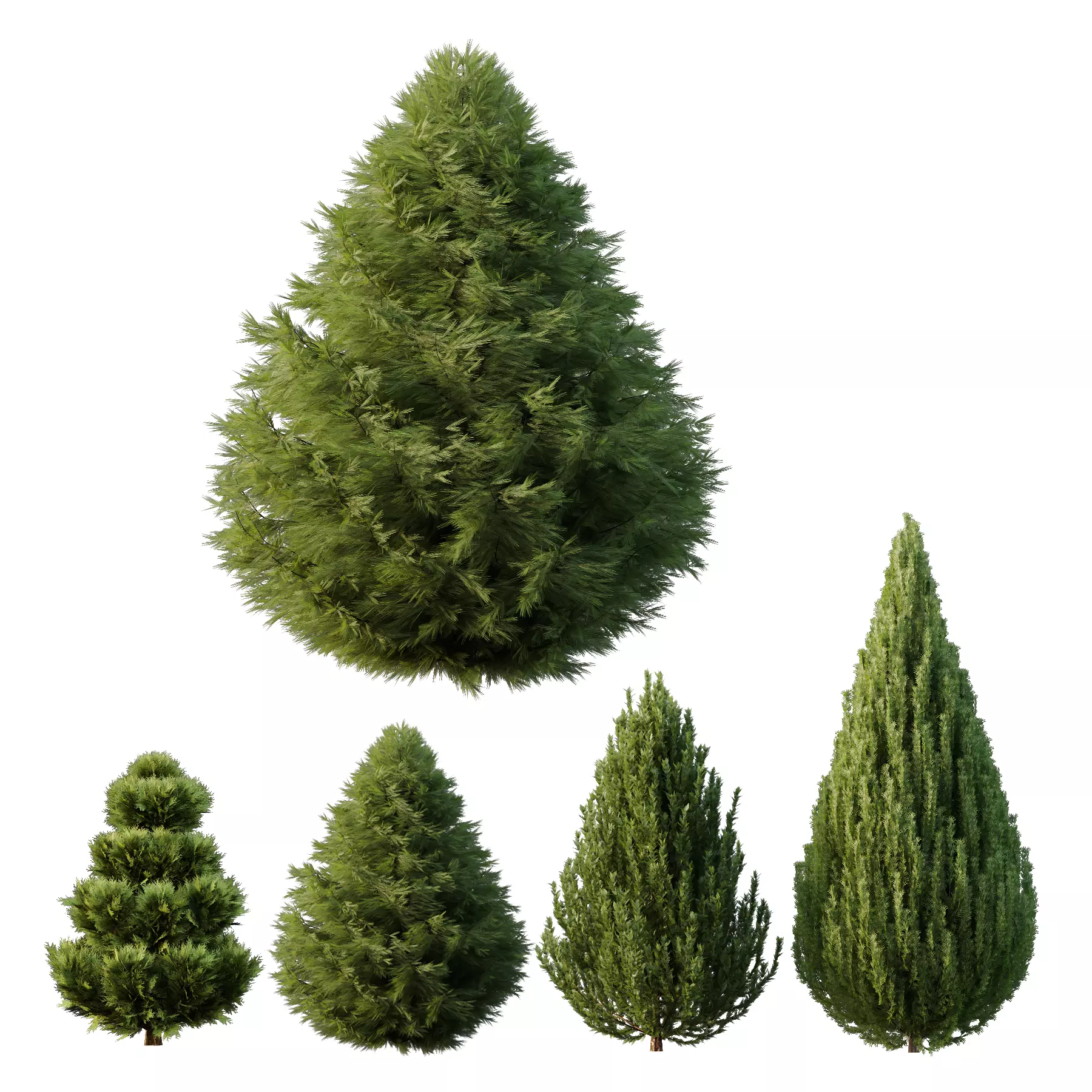 4 different bush types 3D model_0