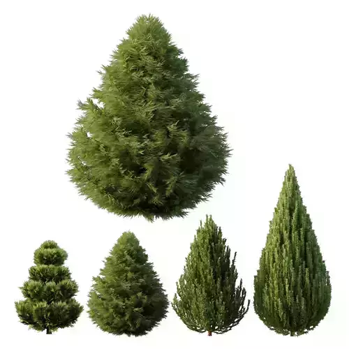 4 different bush types 3D model