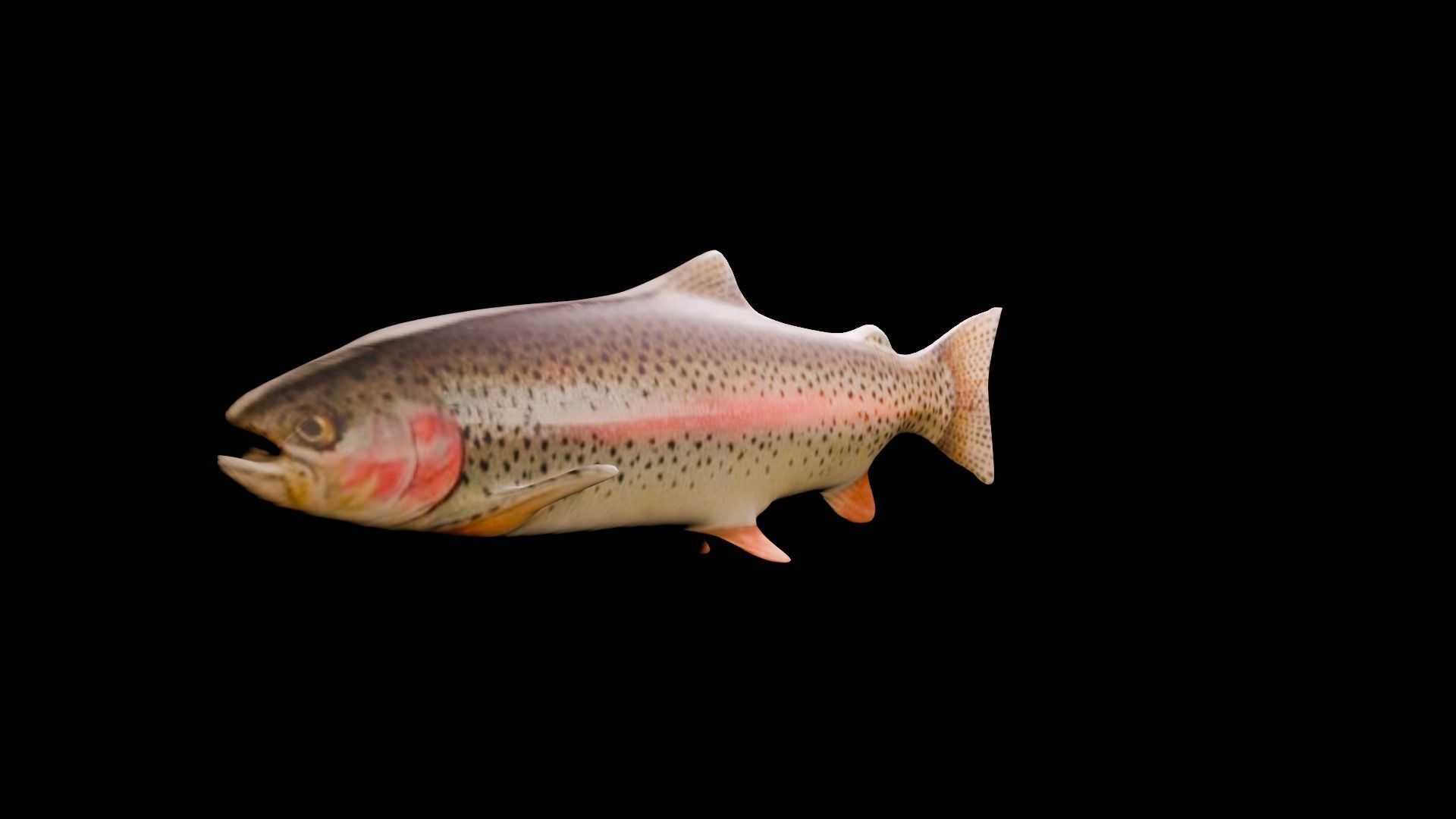 3d fish Low-poly 3D model_1